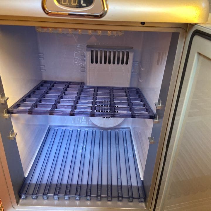 日産　車で使える冷蔵庫　ディズニー