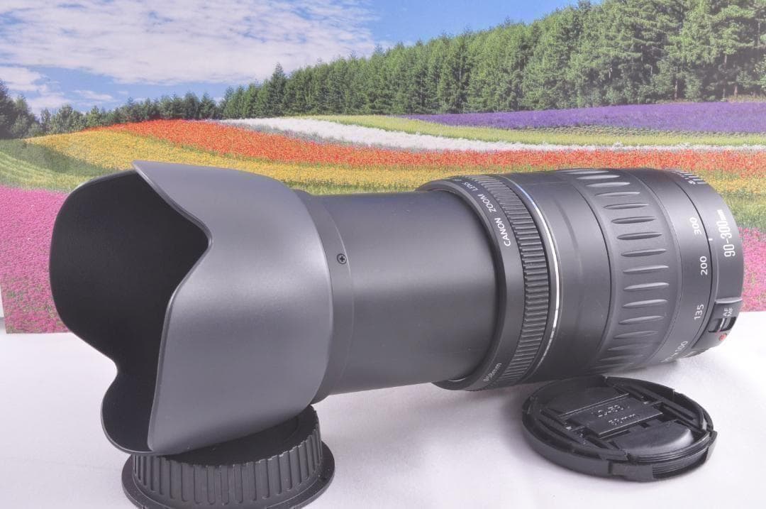 フード付き！Canon キヤノン EF90-300mm 望遠レンズ 整備済み。