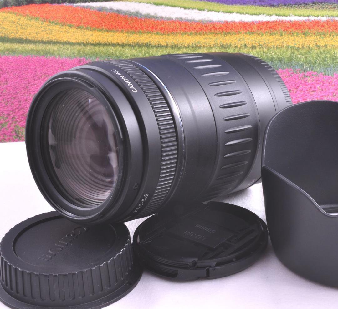 フード付き！Canon キヤノン EF90-300mm 望遠レンズ 整備済み。