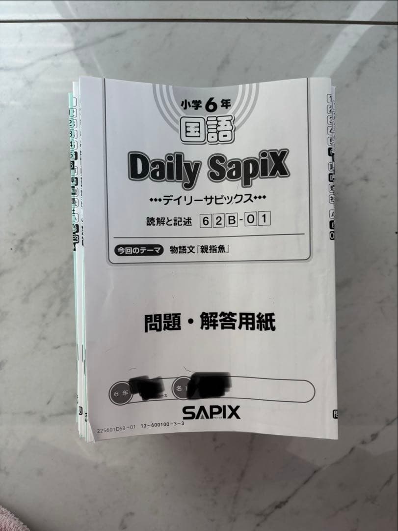 サピックス 6年 国語 SAPIX テキスト - メルカリ