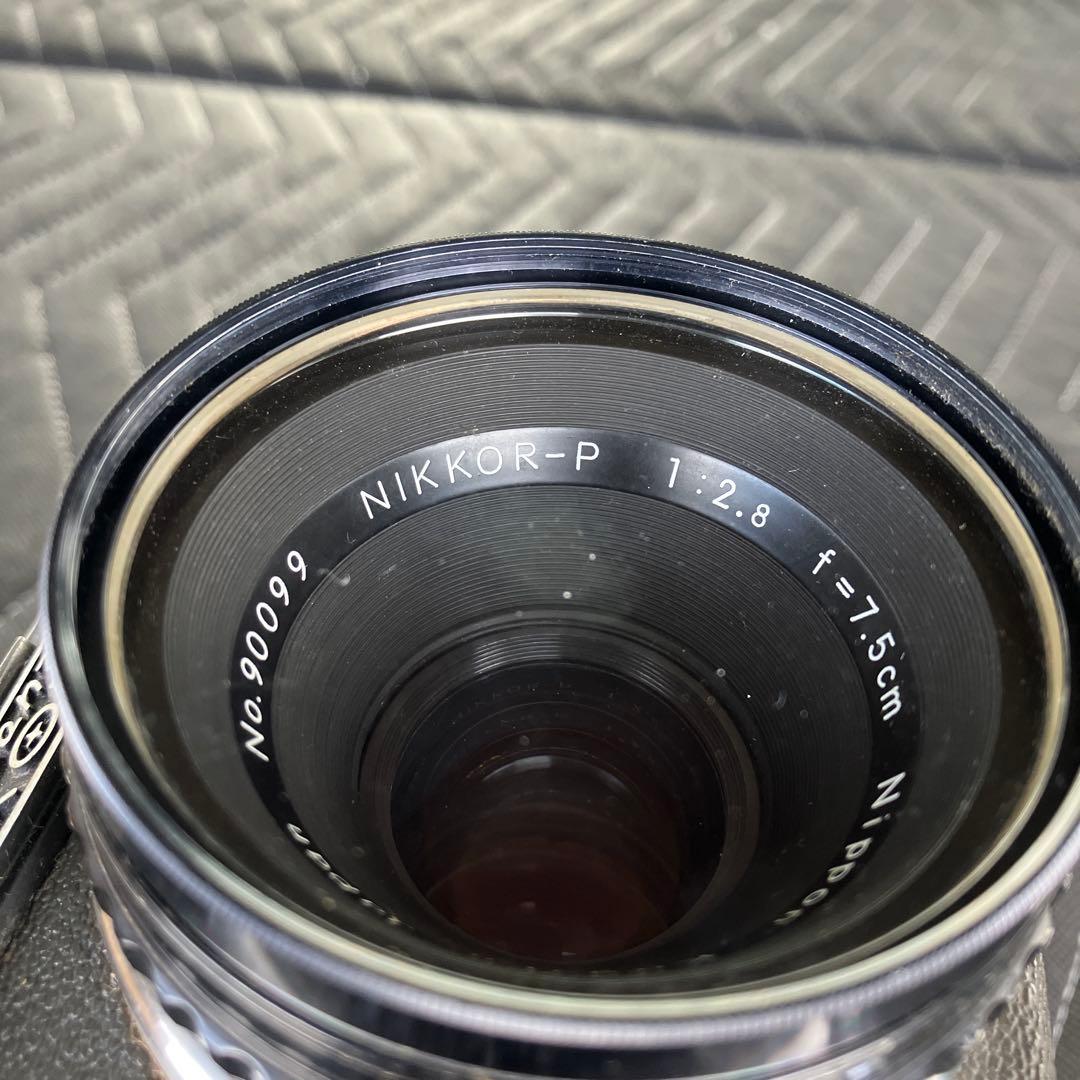 ト*ト様 ゼンザ　ブロニカ