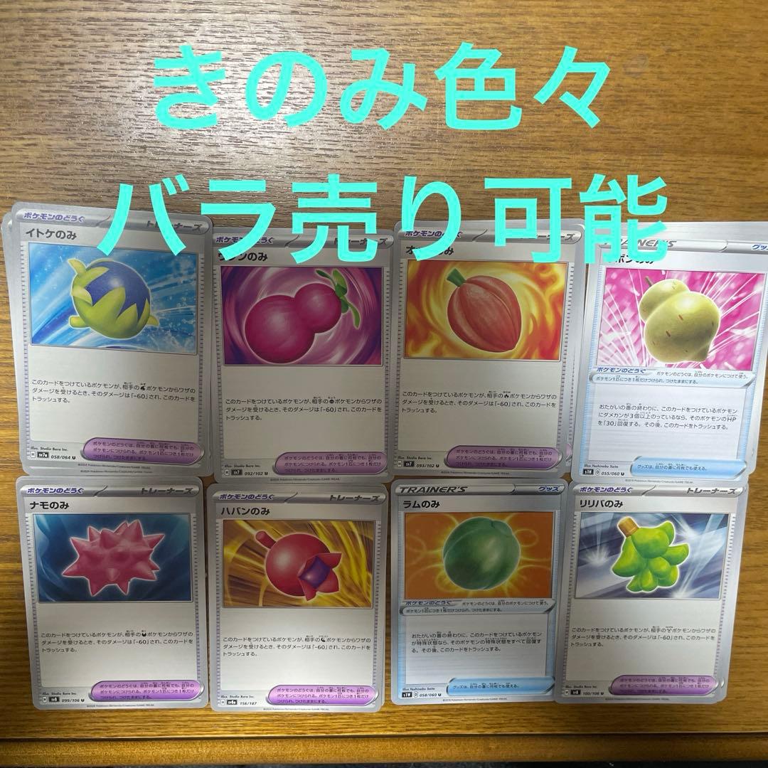 きのみ色々　バラ売り可能 バラ苗 大苗 2026 スーパー トローパー Super Trouper 国産ノイバラ台