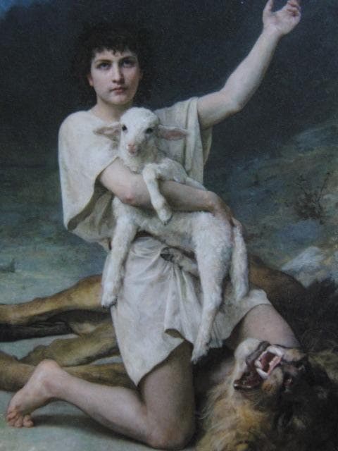 81*Z301絵画 日本画掛軸 奥村土牛 茶掛け 骨董 骨董品