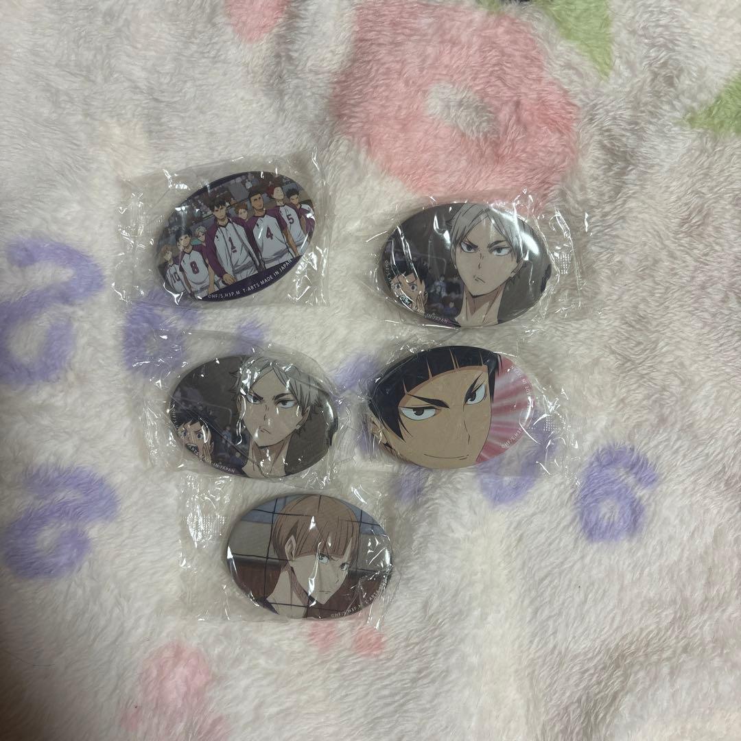 ハイキュー 白鳥沢楕円 缶バッジ 白布賢二郎 五色工 瀬見英太 - メルカリ