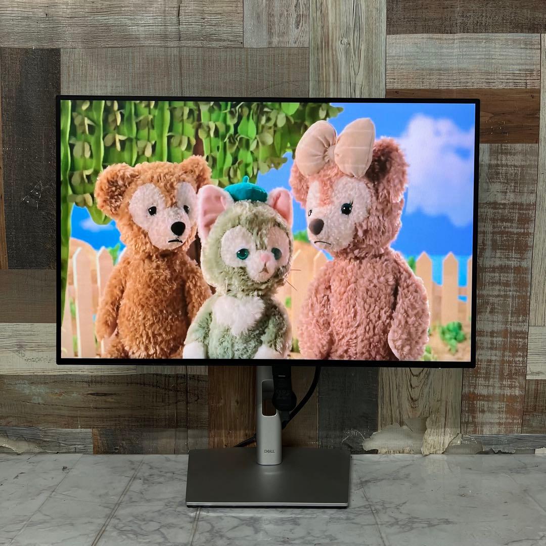 リクエスト価格❣️2年前購入DELL24型ワイド液晶モニターブルーライト軽減