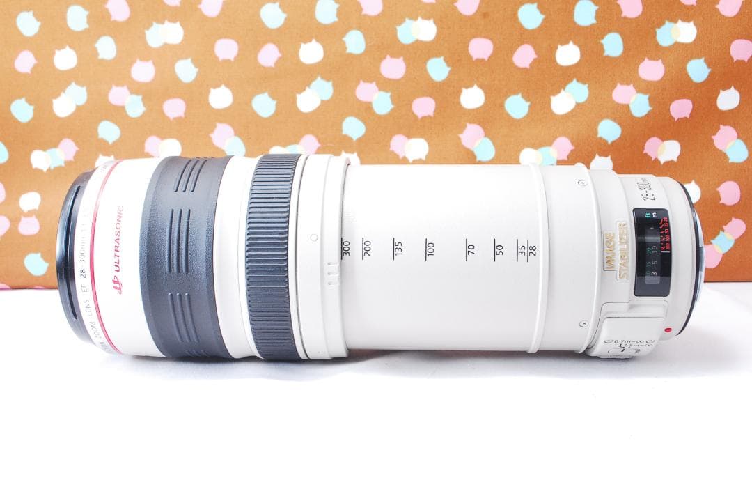✨超美品✨Canon EF 28-300mm F3.5-5.6 L IS USM