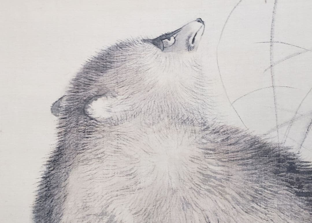 ススキに狸図/月下】森徹山 2536 タヌキ 掛け軸 肉筆 - メルカリ