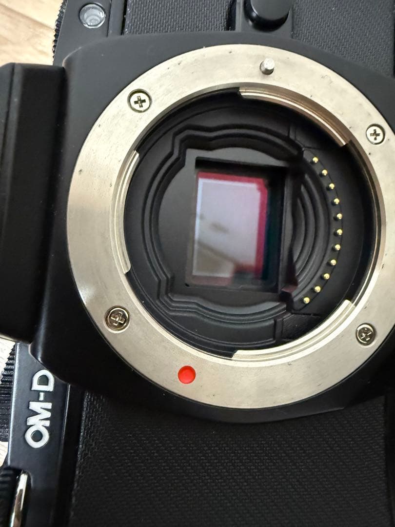 OLYMPUS OM-D E-M5 ミラーレス一眼レフカメラ