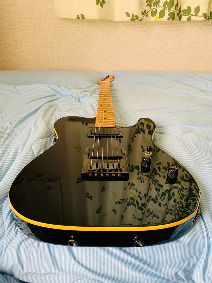 SCHECTER】シェクターUSA☆エレキギター☆テレキャスター☆バーズアイ