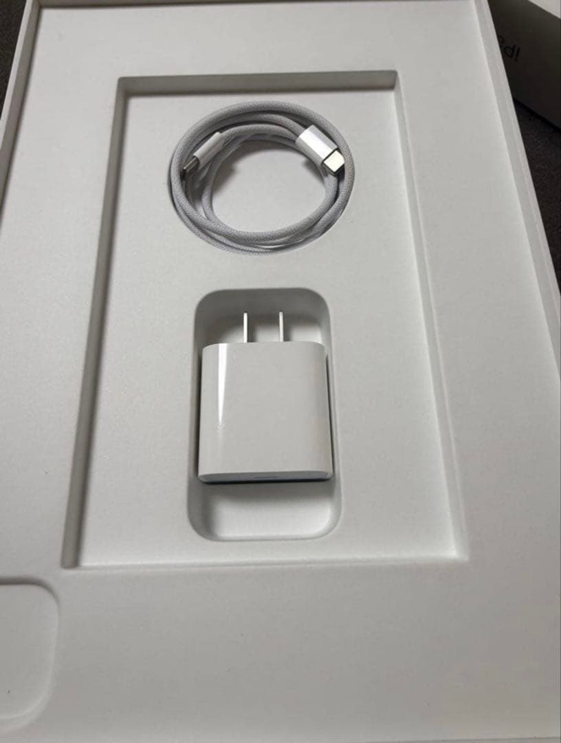 Apple iPad Pro 11インチ M4 シルバー 256GB