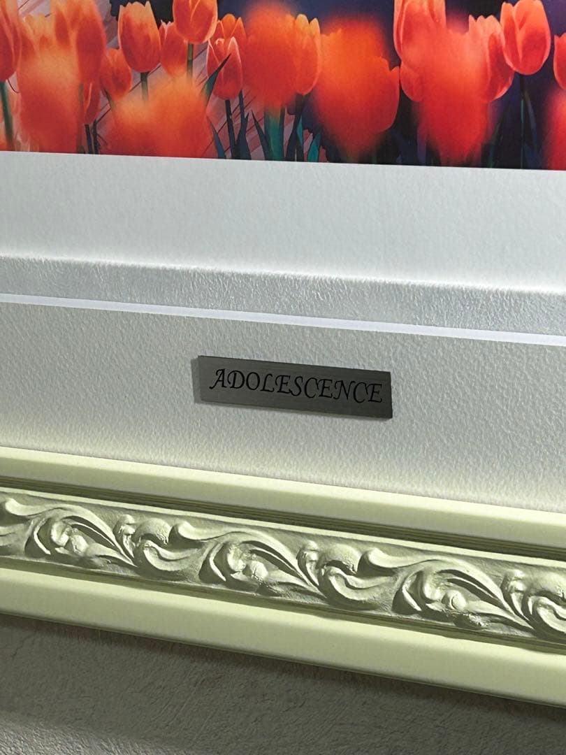 Hiten 版画 DX版 ADOLESCENCE アールビバン アールジュネス - メルカリ