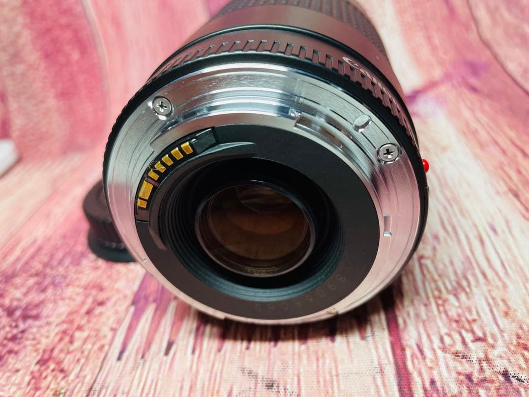 CANON キャノン EF 75-300mm 1:4-5.6 Ⅱ USM