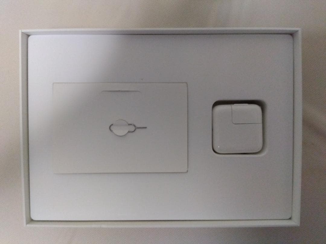 iPad Wi-Fi + Cellular 32GB（第5世代）