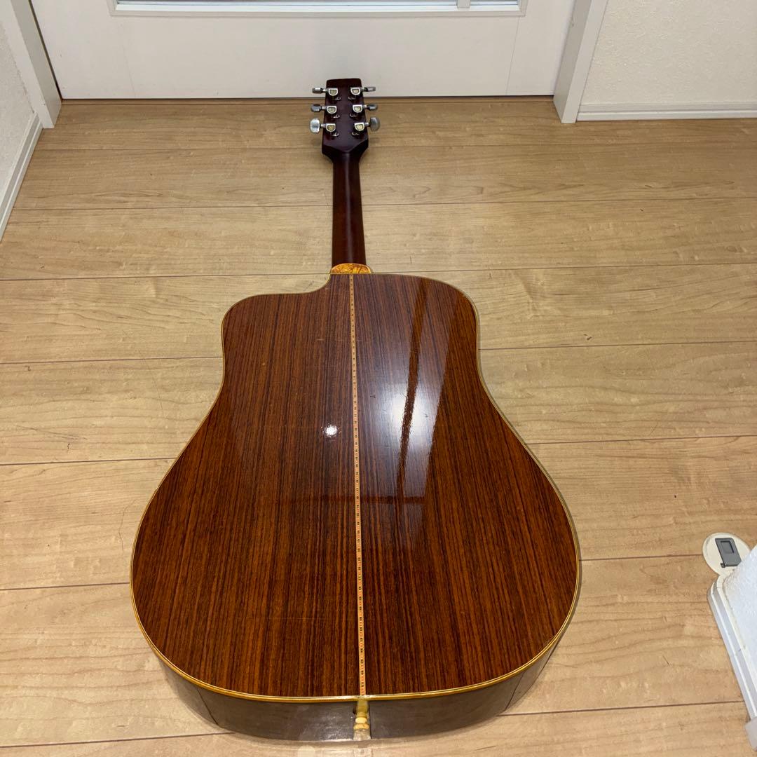 激レア！TF モーリス MORRIS W-621R schallerペグです