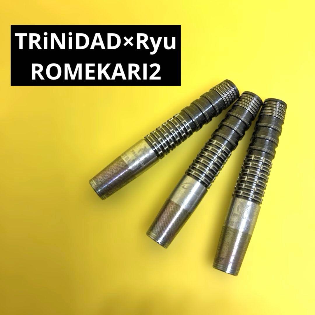 TRiNiDAD×Ryu ROMEKARI2 トリニダード ダーツ バレル - メルカリ