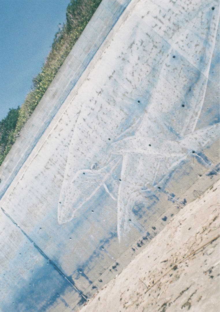 minolta repo ハーフカメラ　フィルムカメラ　オーバーホール済み