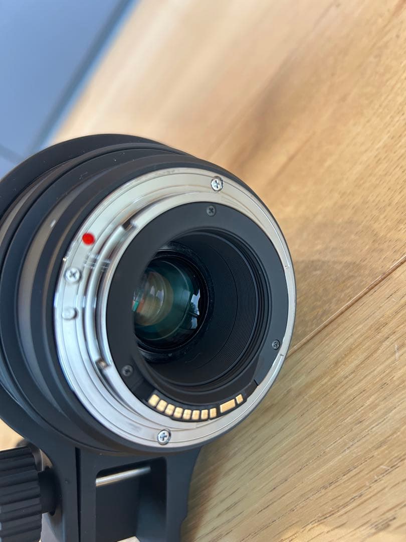 レンズ(ズーム) SIGMA 50-500mm F4.5-6.3 DG OS HSM