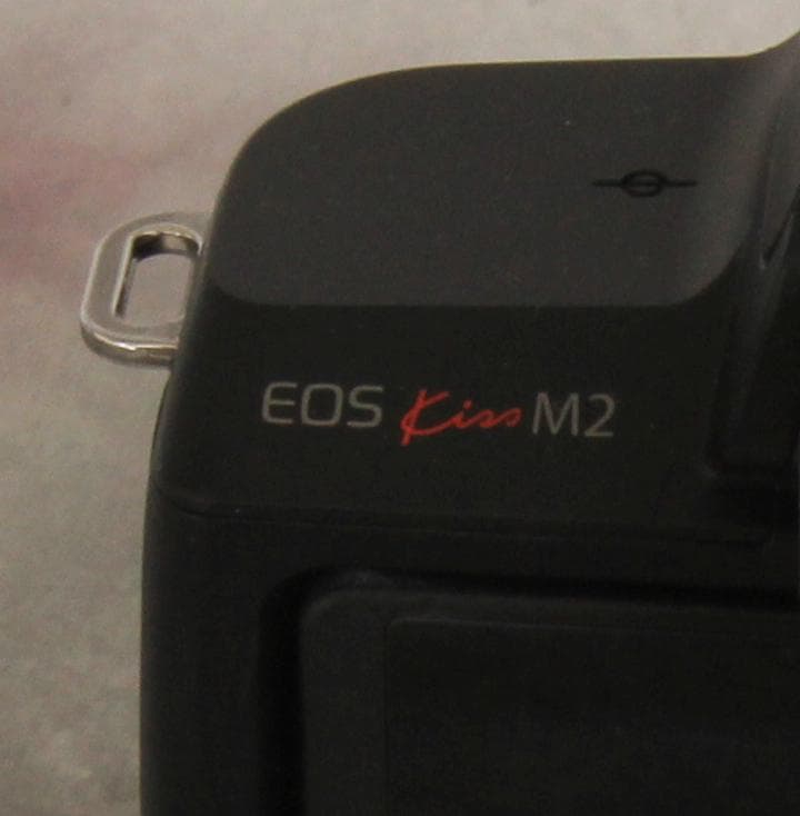 w*。様 Canon EOS Kiss M2 + 18-150mmレンズ付(ri