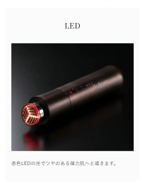 滝沢眞規子さんご愛用　A global ホルスアイ