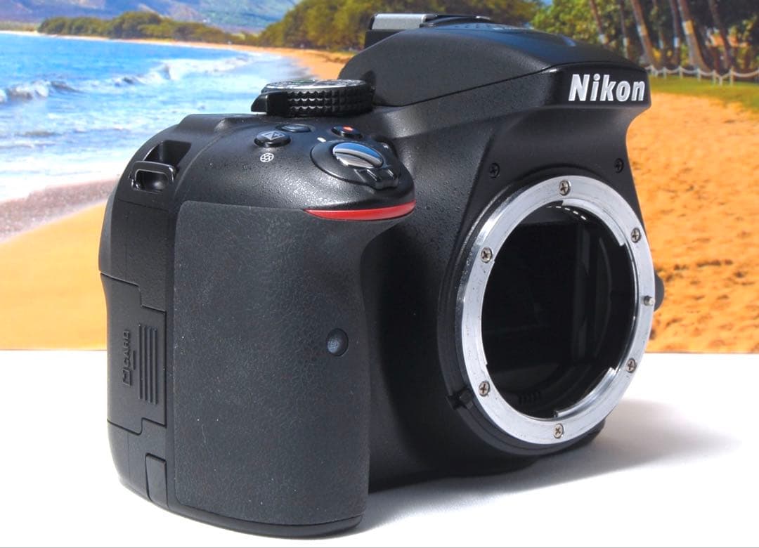 美品❤️Nikon D5300 ダブルレンズ 箱付き WiFi転送機能搭載 人気