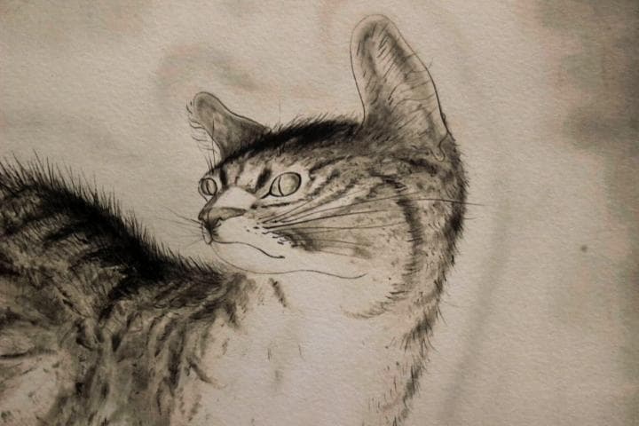 ☆藤田嗣治 エスタンプリトグラフ「猫」 250部限定☆ - メルカリ