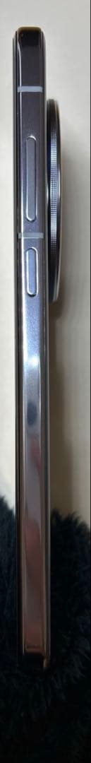 vivo X200 12/256GB 中国版