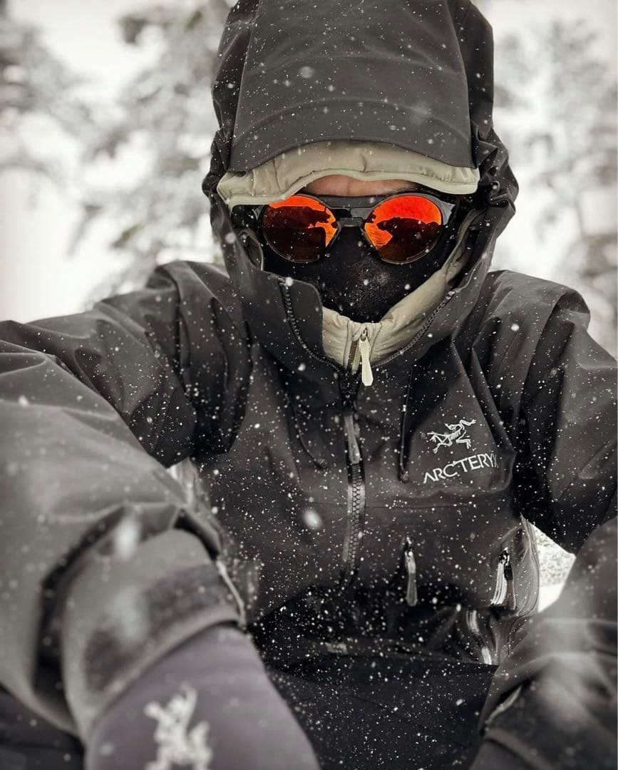 激レア最高峰モデル Arc'teryx 3ZIP Beta SV アークテリクス - メルカリ