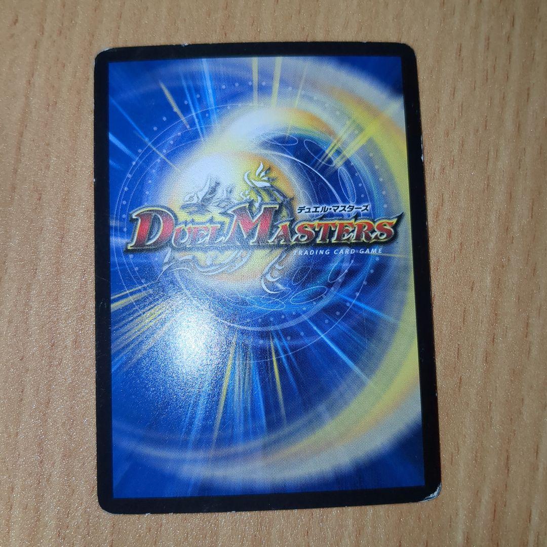 百族の長プチョヘンザ 銀シク - メルカリ