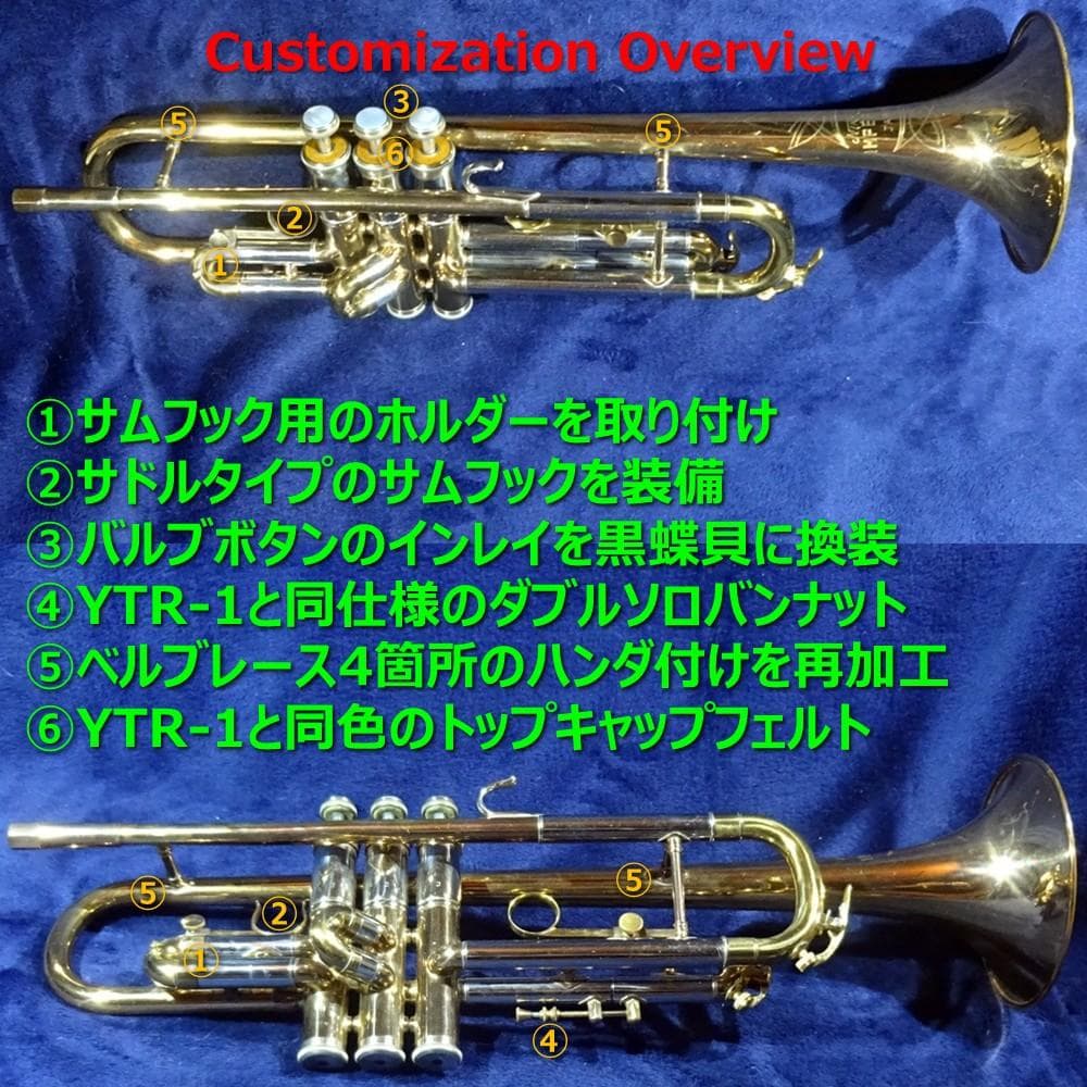 Niikan Imperiale（日管）TR-1（1966）リビルド＆カスタム - メルカリ