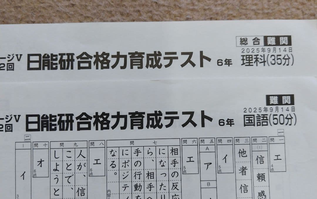 最新版】2025年日能研6年 後期 合格力育成テスト 合格力実践テスト