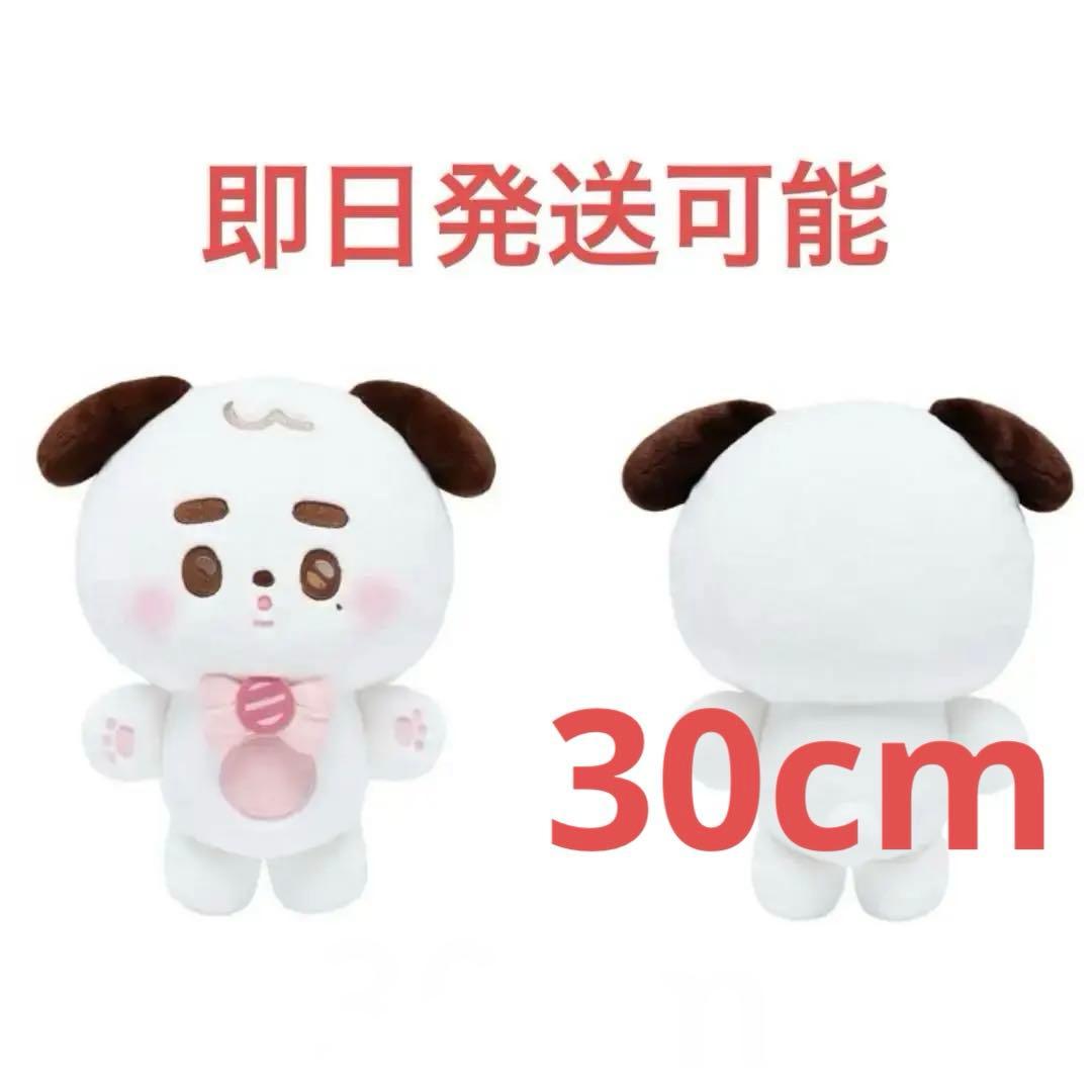 ジョンウ ぬいぐるみ ビジードッグ big moon chill NCT127 - メルカリ