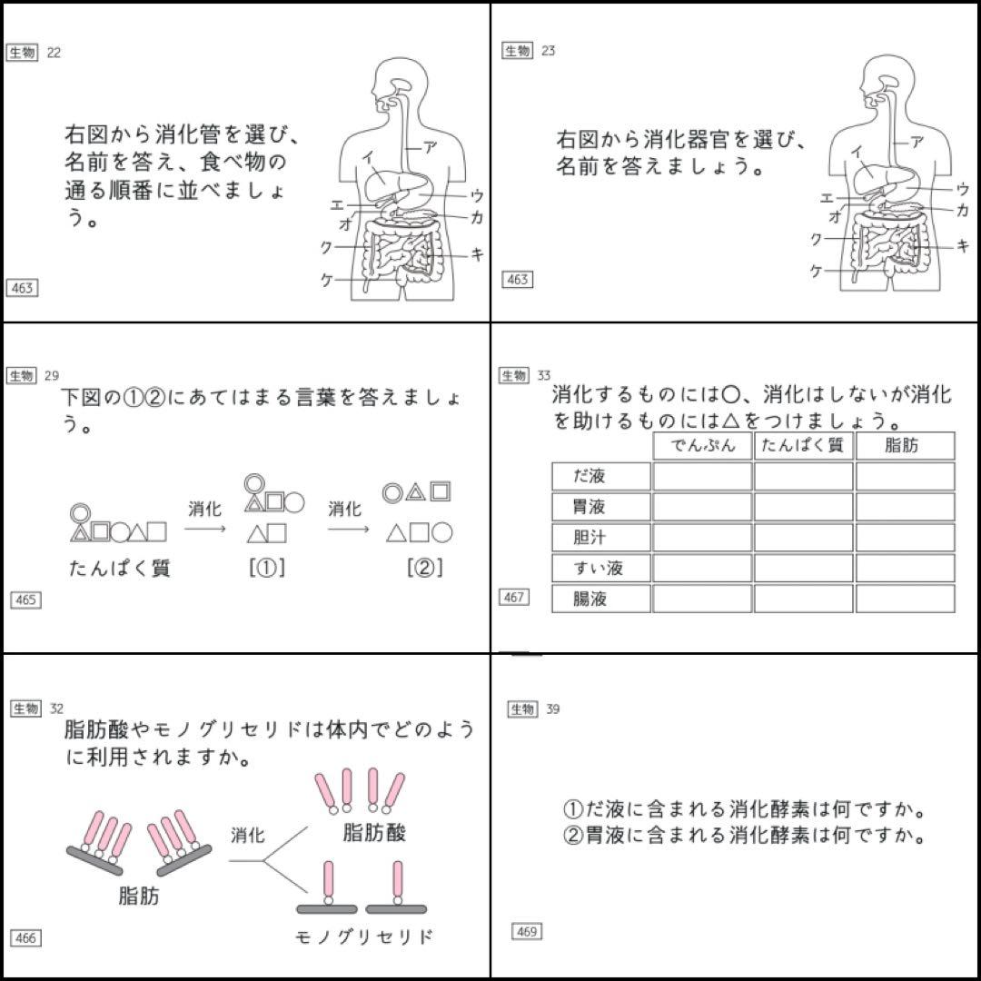中学受験 暗記カード 理科 生物 サピックス 予習シリーズ コアプラス