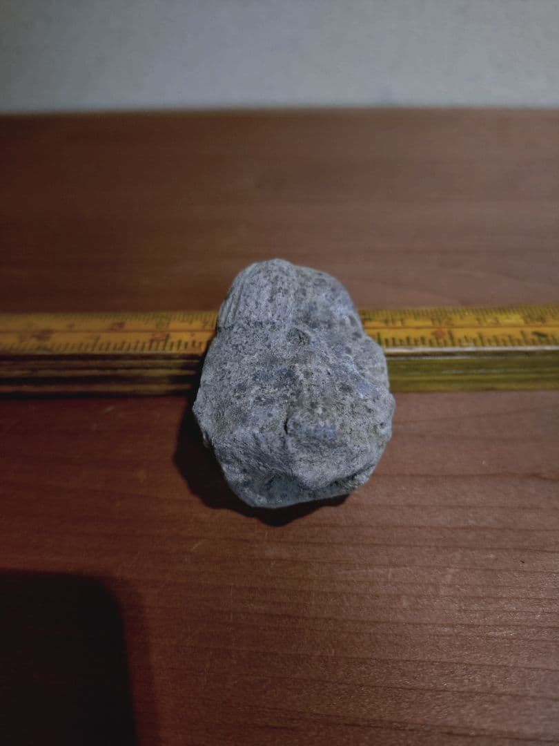 マヤ文明 グアテマラ出土 頭部 土偶