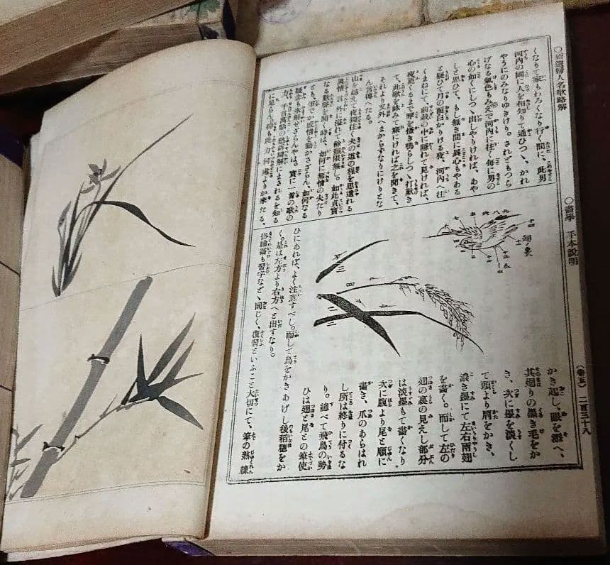 明治の和本 婦人寳典