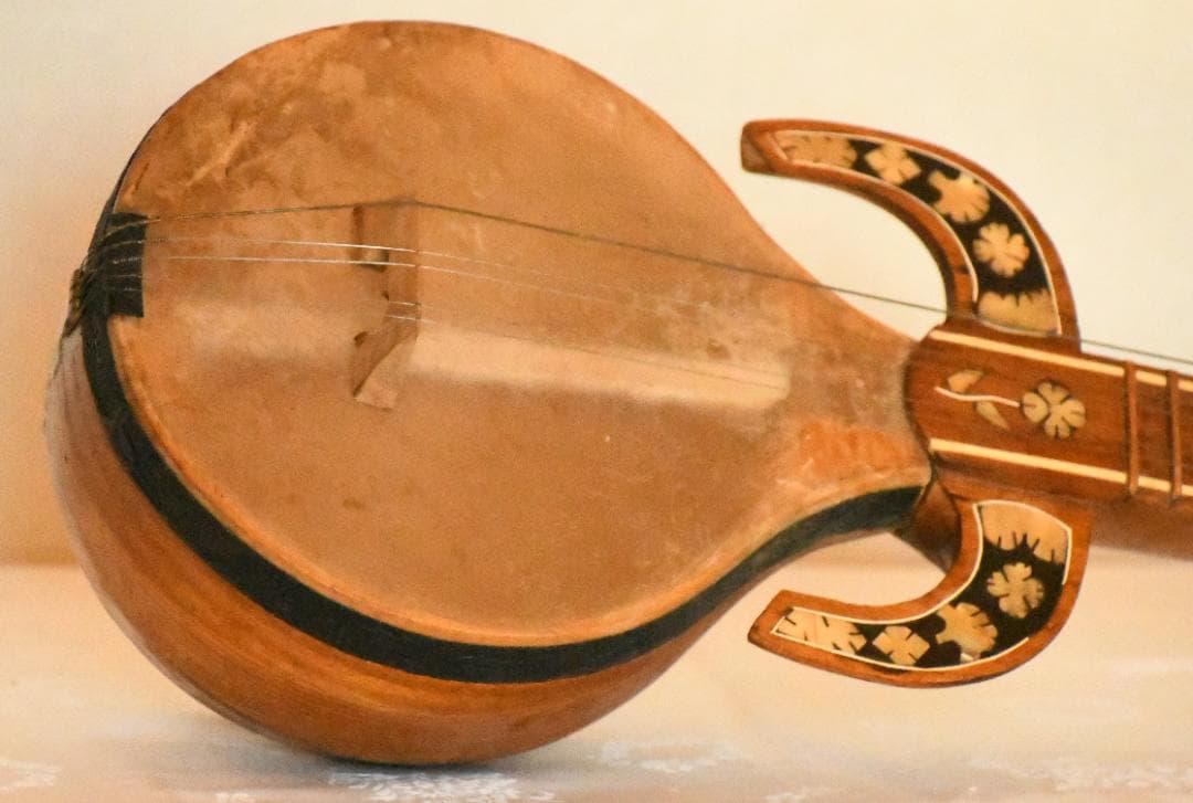 ウズベキスタンの民族弦楽器ラワープレワープ - メルカリ