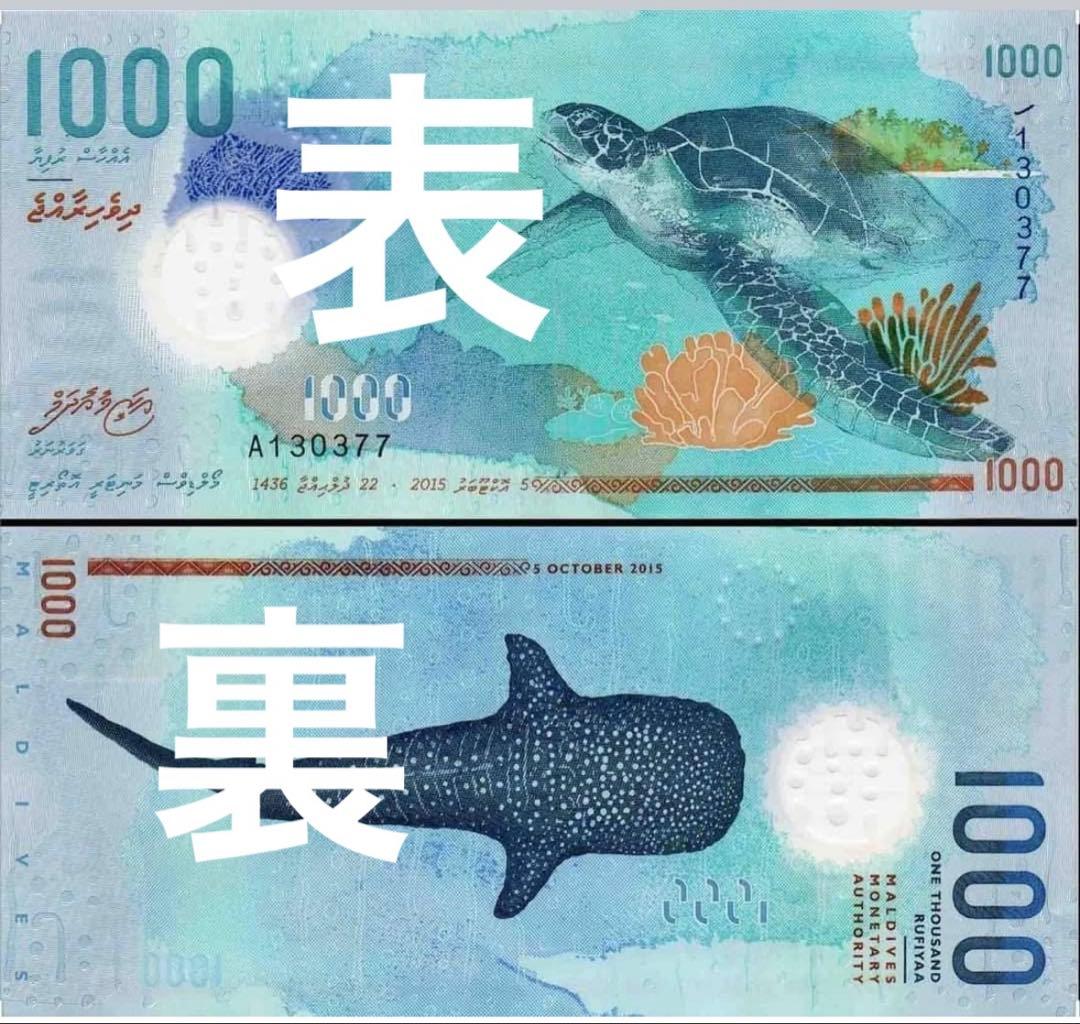 外国紙幣 モルディブ 最高額 ジンベイ ウミガメ 海外コレクション