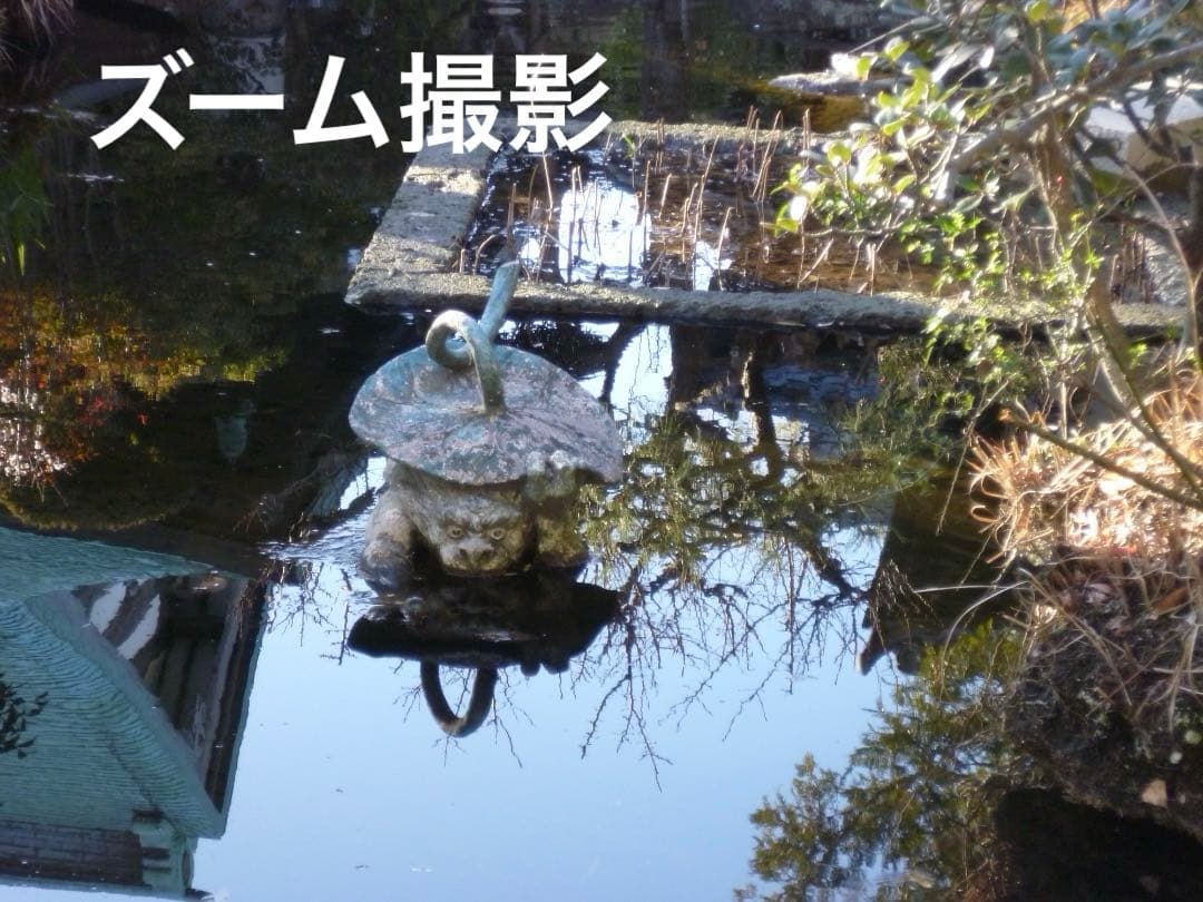 実写良⭕️美品【動作確認済】LUMIX DMC-FH1 - メルカリ