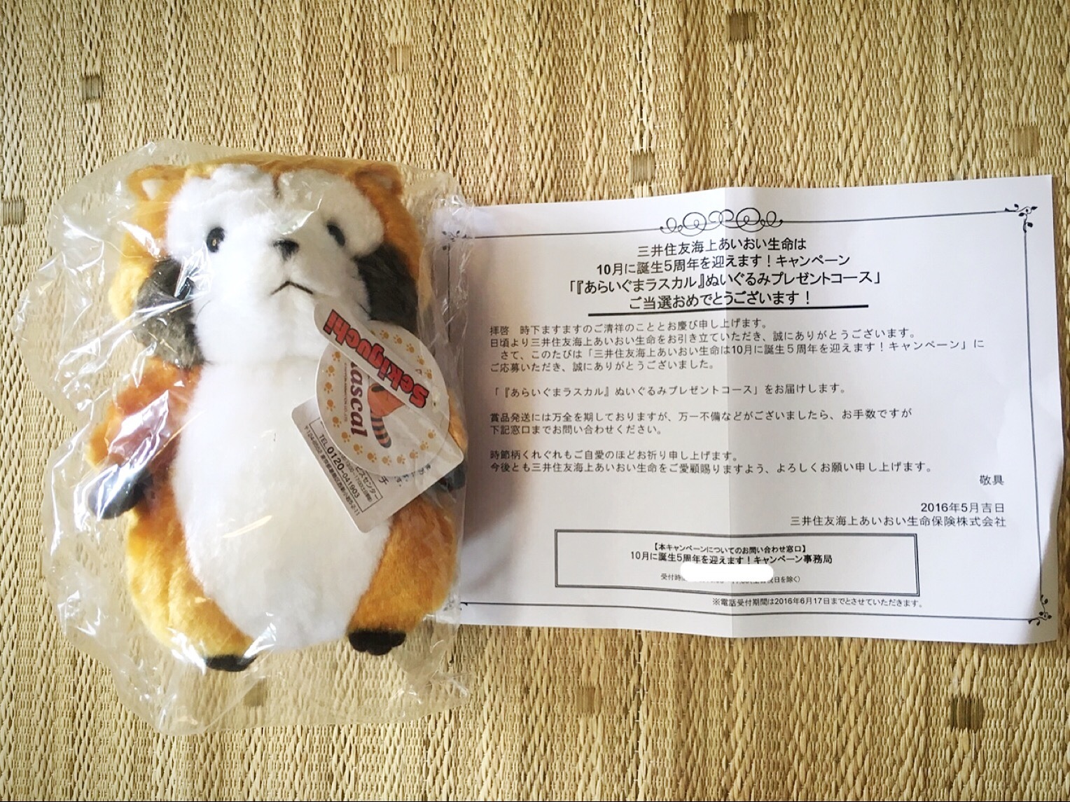 当選】あらいぐまラスカルぬいぐるみ三井住友海上あいおい生命: すみれ