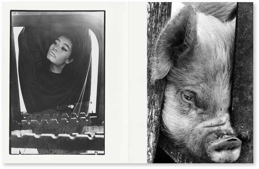 屑 Slaughter Masahisa Fukase (深瀬昌久) – SUPER LABO